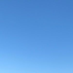 Meet your Posher, Gad